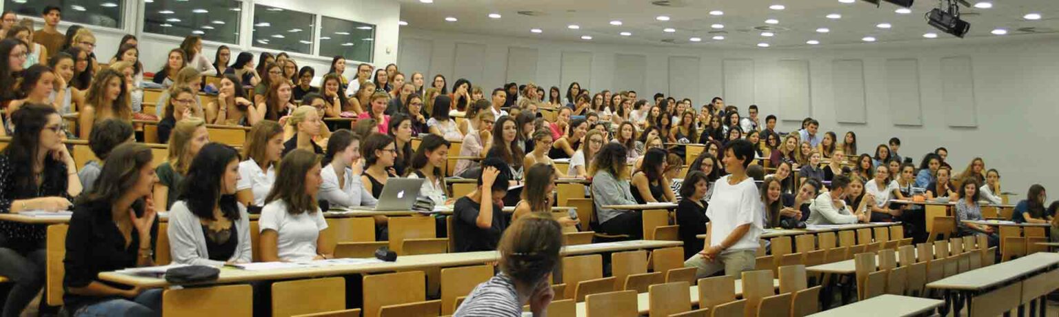 formation par la pratique psychologie lyon 2